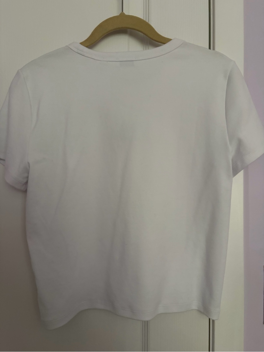 Aritzia Besthug Little Ribbed Icon T-Shirt - Picture 4 of 4